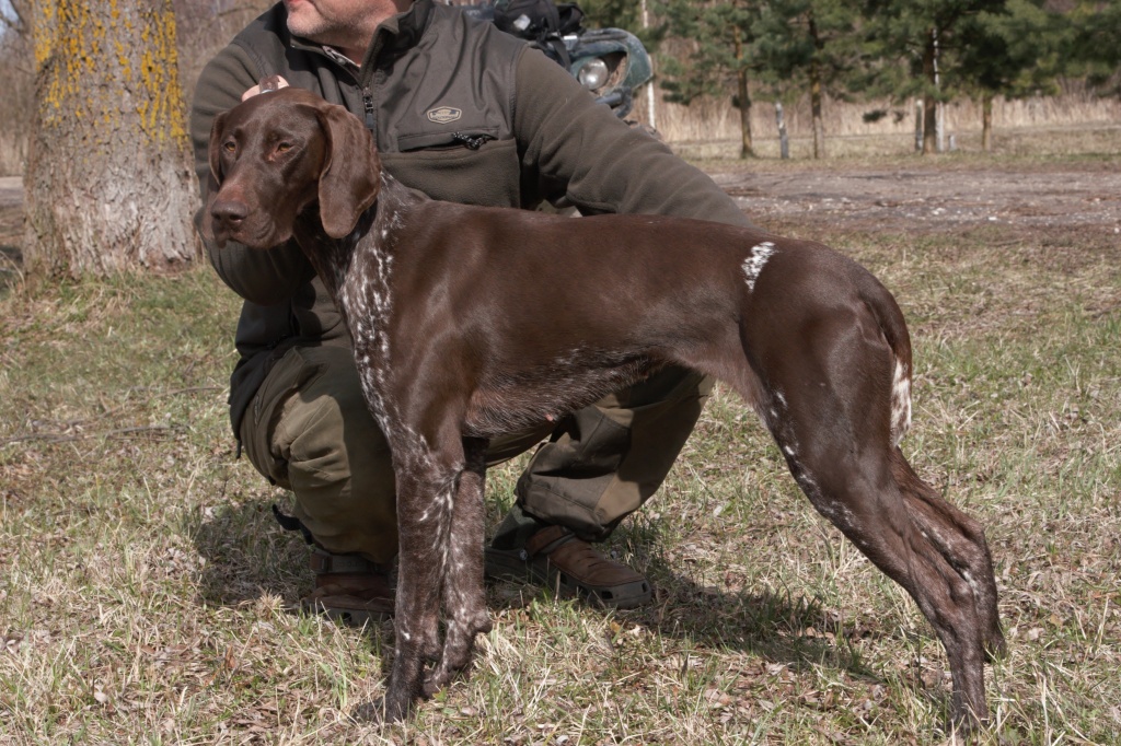 IMG_5683 (2).jpg IMG_5683 (2).jpg