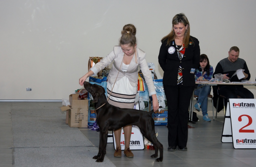 IMG_5508 (2).jpg IMG_5508 (2).jpg