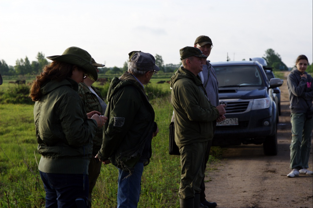 белые ночи 124.jpg белые ночи 124.jpg