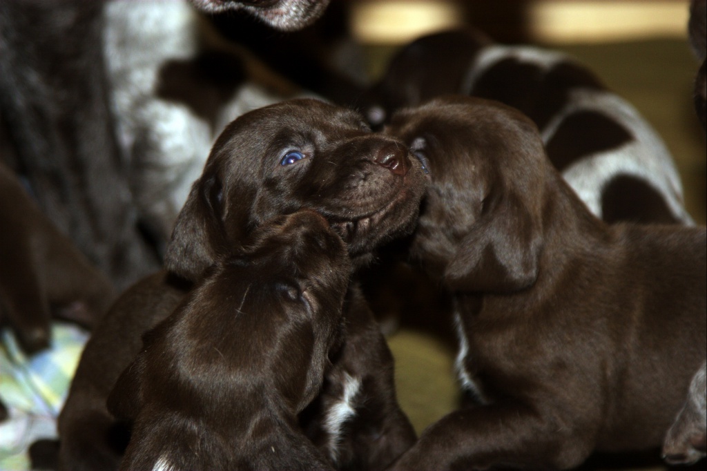 023.jpg 023.jpg