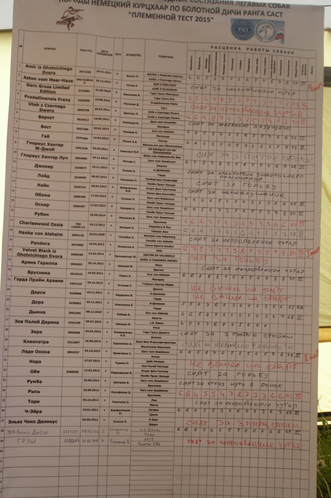 IMG_5880 (2).jpg IMG_5880 (2).jpg