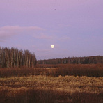 Пейзажи