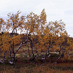 Пейзажи